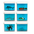 Fish Goo Aquarium